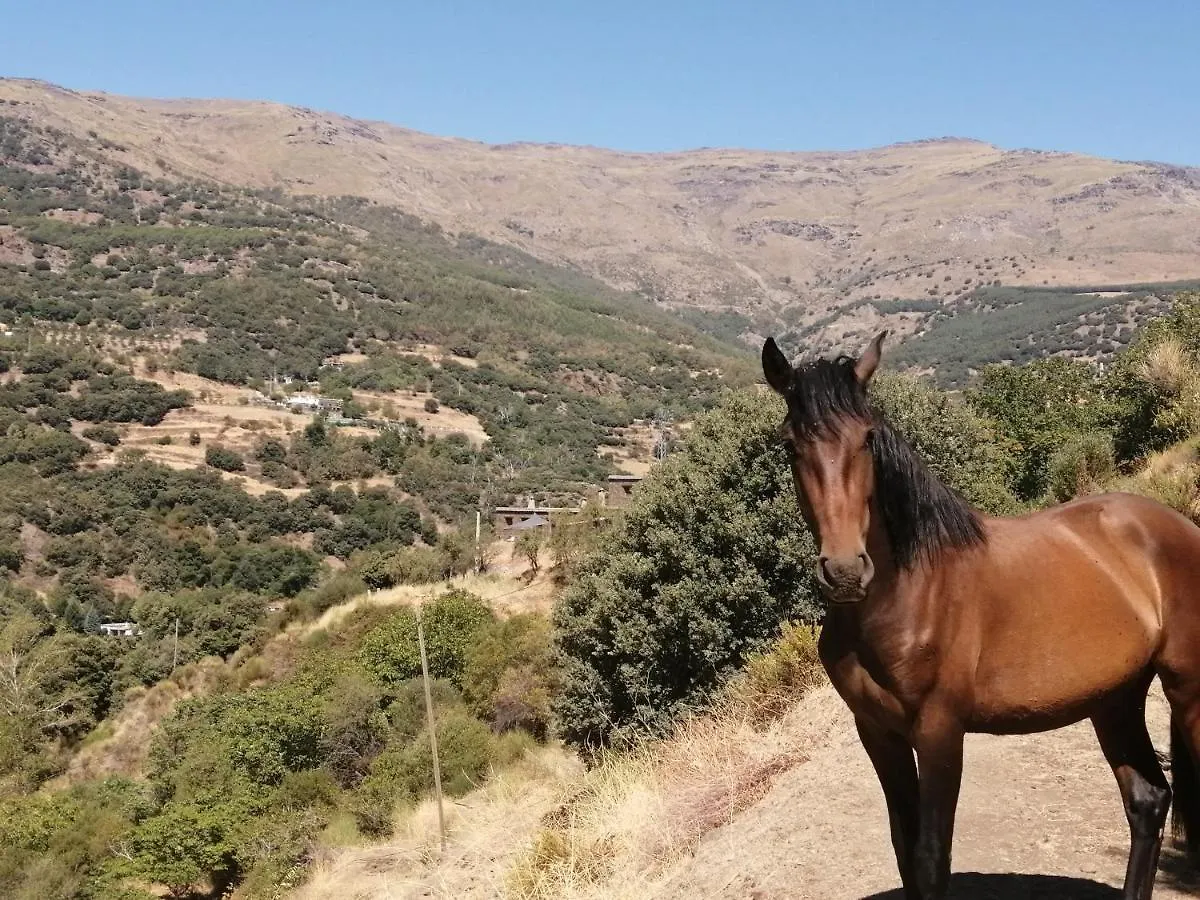 Alojamiento Rural El Balcon Del Cielo Hay Disponibilidad Trevelez